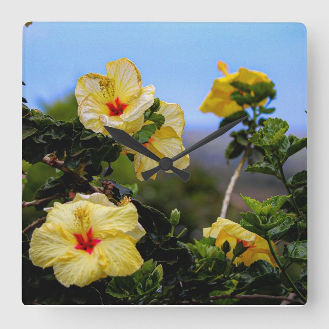 Relógio da parede Maui do quadrado HIbiscus (Frente)