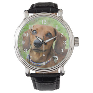 Relógio Dachshund
