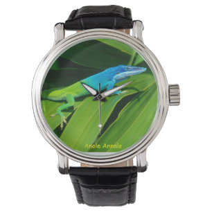 Relógio de Anole: Allisoni do Anolis