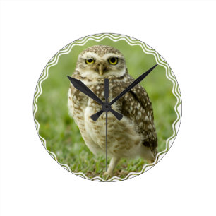 Relógio de Coroa de Alerta