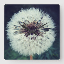 Relógio de Dandelion Dewy... Relógio!