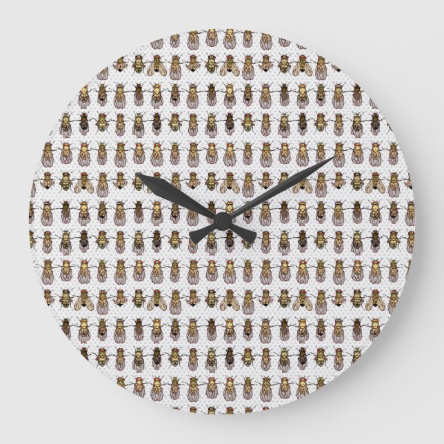 Relógio de Drosophila de cor neutra (Frente)