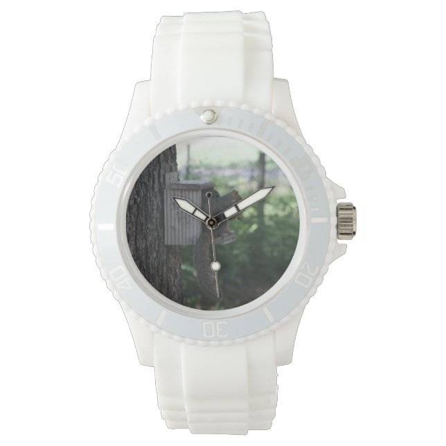 Relógio de Esquilo (Frente)