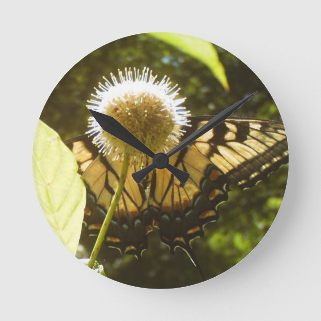 Relógio de Flor Monarca de junho (Frente)