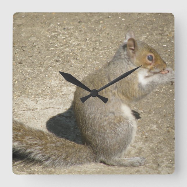 Relógio de Muro de Horatio com Fome de Esquilo (Frente)