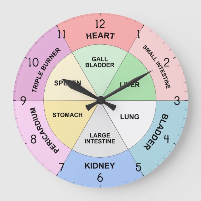 Relógio de Órgão Chinês - Relógio de Corpo TCM (Frente)