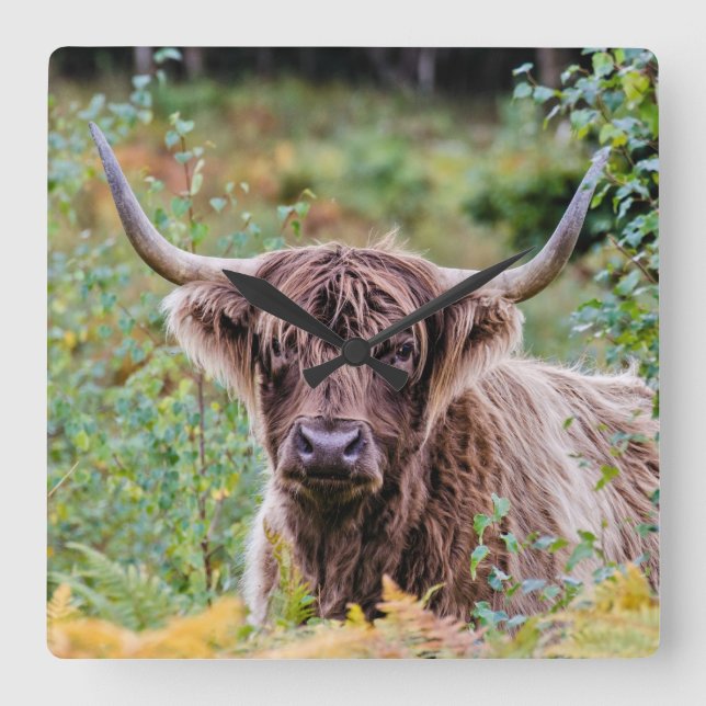 Relógio de parede (Frente)