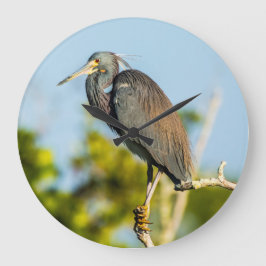 Relógio de Parede Acrílica Perfeita de Aves, Redon