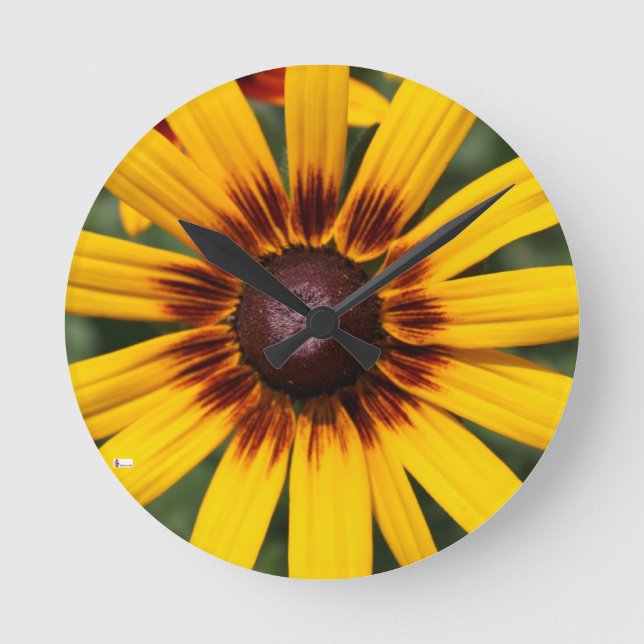 Relógio de Parede Acrílico (Médio) (Frente)