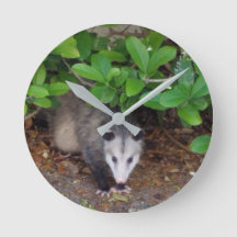 Relógio de Parede Acrínica Possum