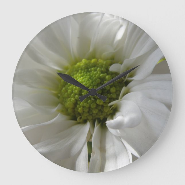 Relógio de Parede Branca de Chrysanthemum (Frente)