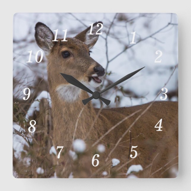 Relógio de Parede Chewy (Frente)