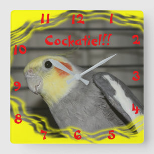 Relógio de Parede Cockatiel