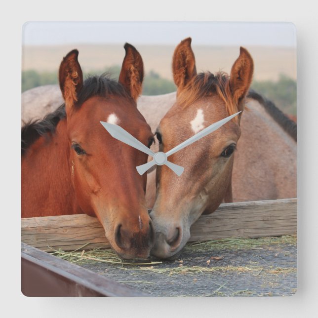 Relógio de Parede com Foto de Dois Cavalos Marrons (Frente)