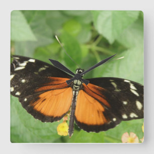Relógio de Parede da Borboleta de Tigre Longwing