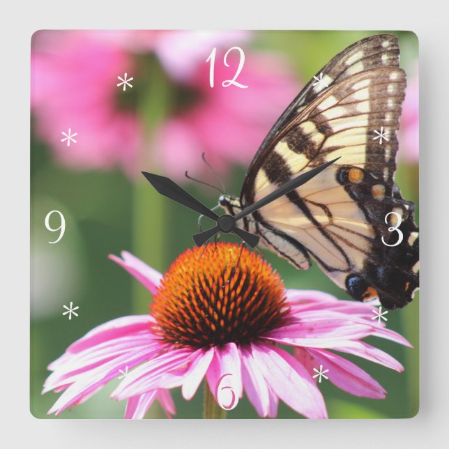Relógio de Parede da Borboleta do Swallowtail Amar (Frente)