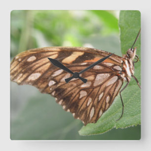 Relógio de Parede da Borboleta Marrom Bonito
