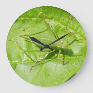 Relógio de Parede da Camuflagem Verde