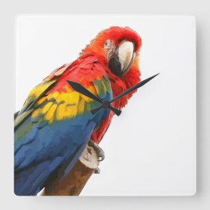 Relógio de Parede da Praça da Macaw Scarlet