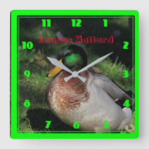 Relógio de Parede da Praça Kansas Mallard