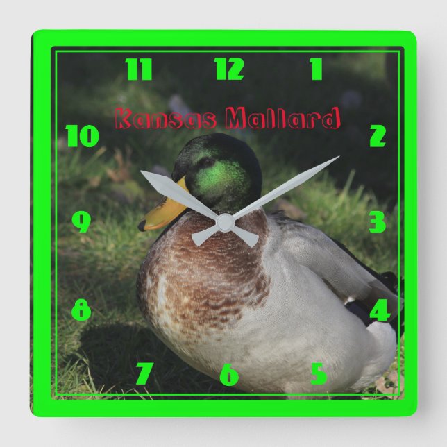 Relógio de Parede da Praça Kansas Mallard (Frente)