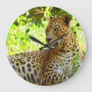 Relógio de Parede de acrílico