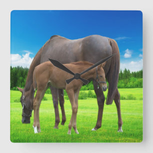 Relógio de Parede de acrílico