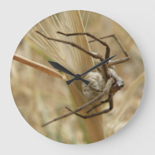 Relógio de Parede de Aranha e Ovo