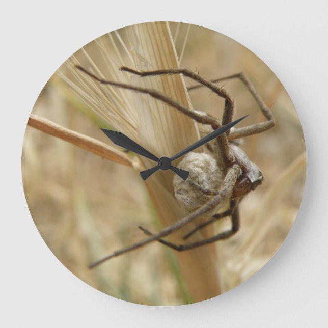 Relógio de Parede de Aranha e Ovo (Frente)