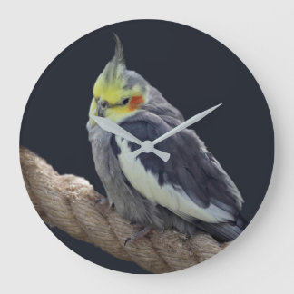 Relógio de Parede de Cacatua Fofo