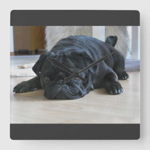 Relógio de Parede de Cachorrinho Pug Preto Fofo