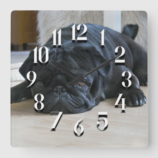 Relógio de Parede de Cachorrinho Pug Preto Fofo (Frente)