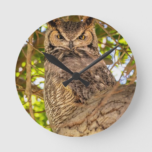 Relógio de Parede de Coruja Grande Horned Owl Deco (Frente)