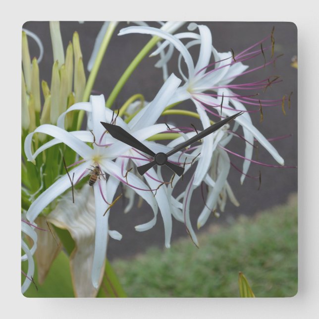 Relógio de Parede de Fragrância Floral (Frente)