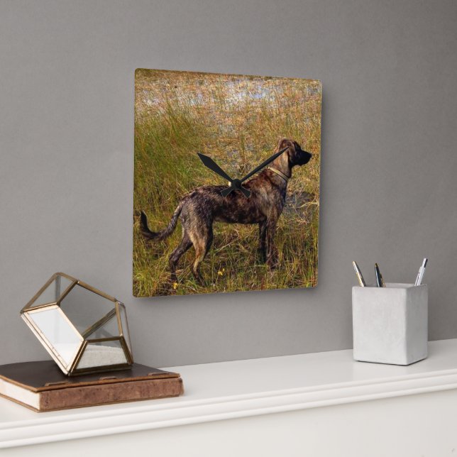 Relógio de Parede de Plott Hound Caçador (Escritório)