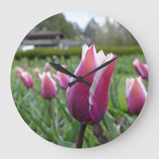 Relógio de Parede de Tulipas Vermelhas e Brancas (Frente)