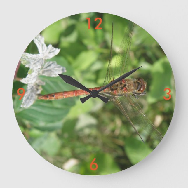 Relógio de Parede do Dragonfly Mais Escuro (Frente)