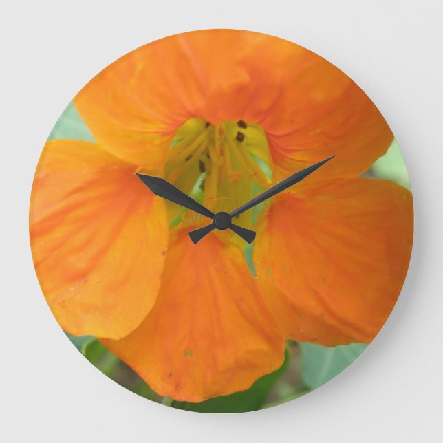 Relógio de Parede do Flor Laranja bonito Nasturtiu (Frente)