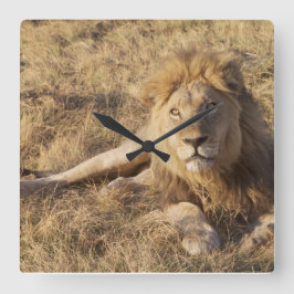 Relógio de Parede do Leão
