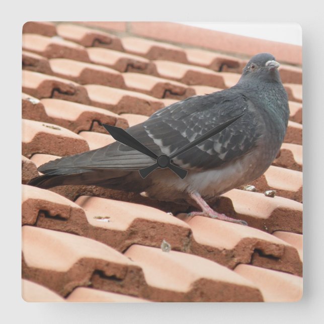 Relógio de Parede do Pombo-Telhado (Frente)