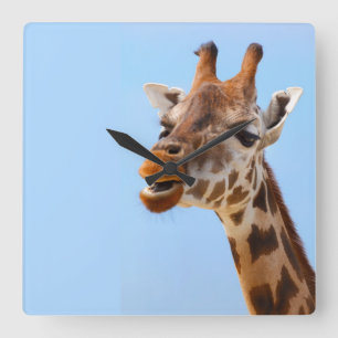 Relógio de parede do retrato Giraffe