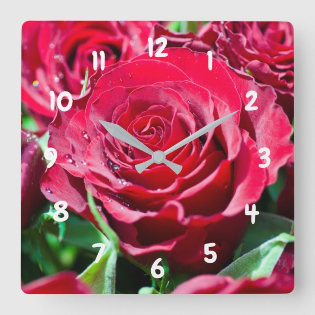 Relógio de Parede do Rosa vermelha Acrylic (Frente)