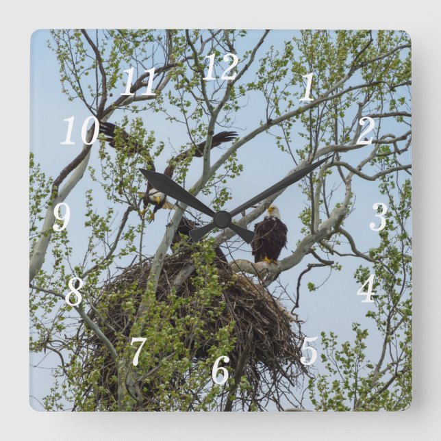 Relógio de Parede Doméstica (Frente)