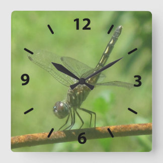 Relógio de Parede Dragonfly
