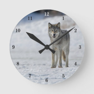 Relógio de Parede Exterior Bonito