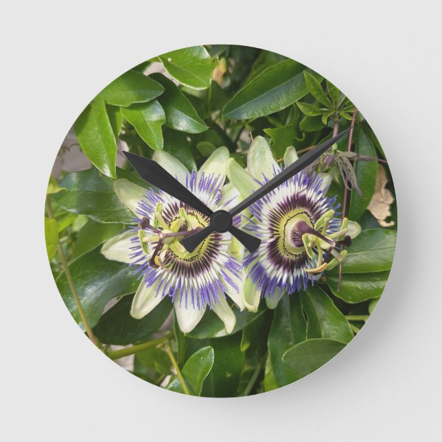 Relógio de Parede Flor de Maracujá Roxa (Frente)