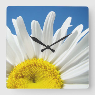 Relógio de Parede Flor de Margarida Presentes Deco
