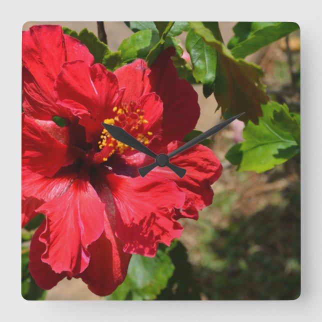 Relógio de Parede Hibisco Vermelho (Frente)
