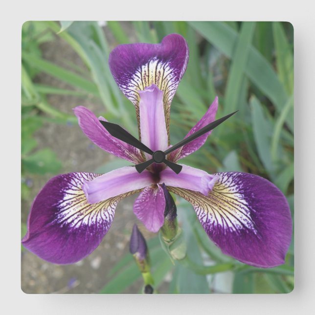 Relógio de Parede Iris Puro (Frente)