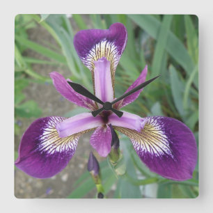 Relógio de Parede Iris Puro